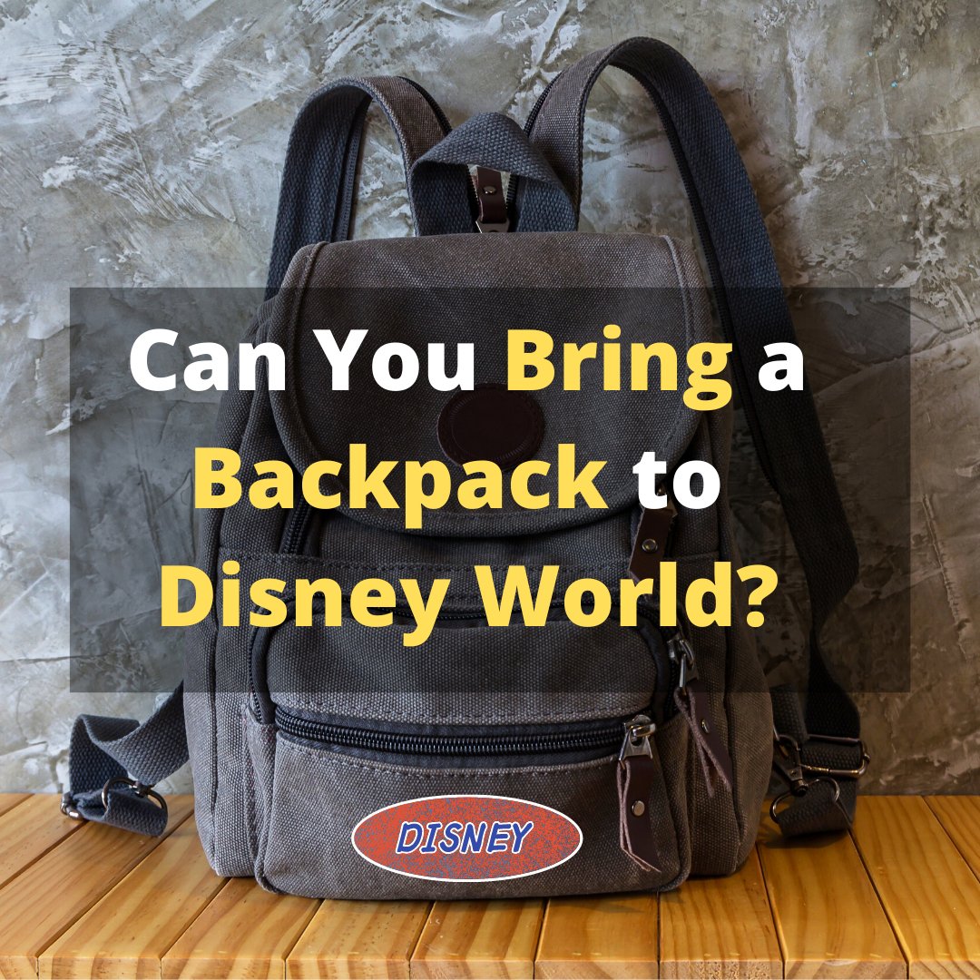 Can You Bring a Backpack to Disney World? Easily Explained