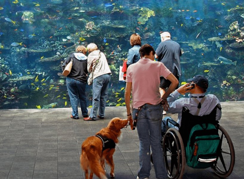 Georgia Aquarium Bag Policy | Simply Explained – ThemeParkCenter.com