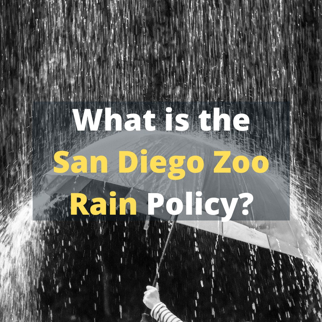 What is the San Diego Zoo Rain Policy? Easily Explained