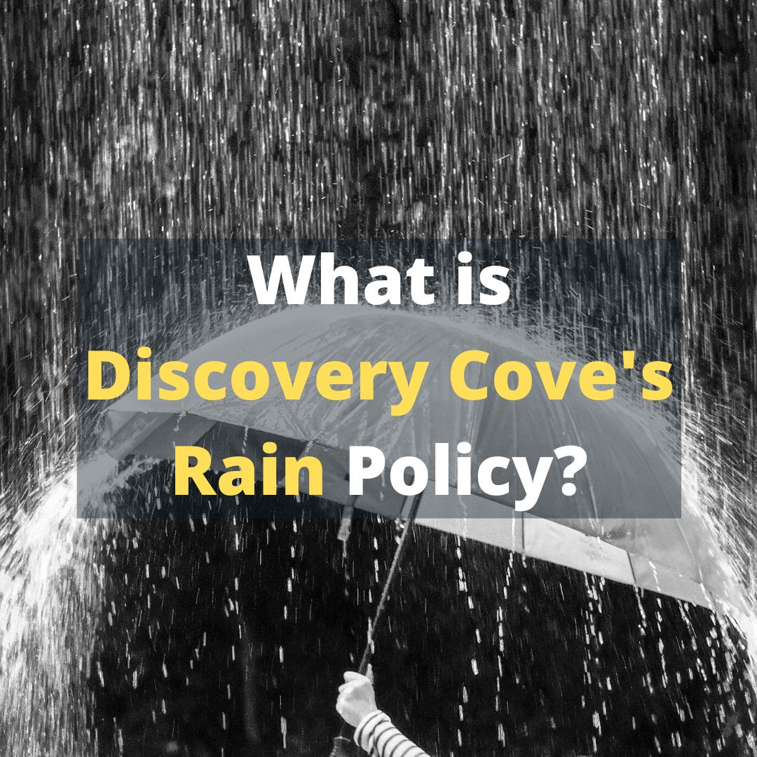 What is Discovery Cove's Rain Policy? Explained