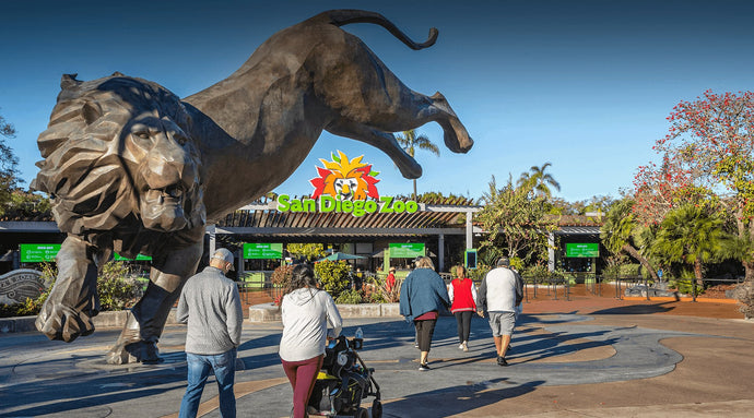 How Long Does It Take To See The San Diego Zoo? | Travel Tips & Plan