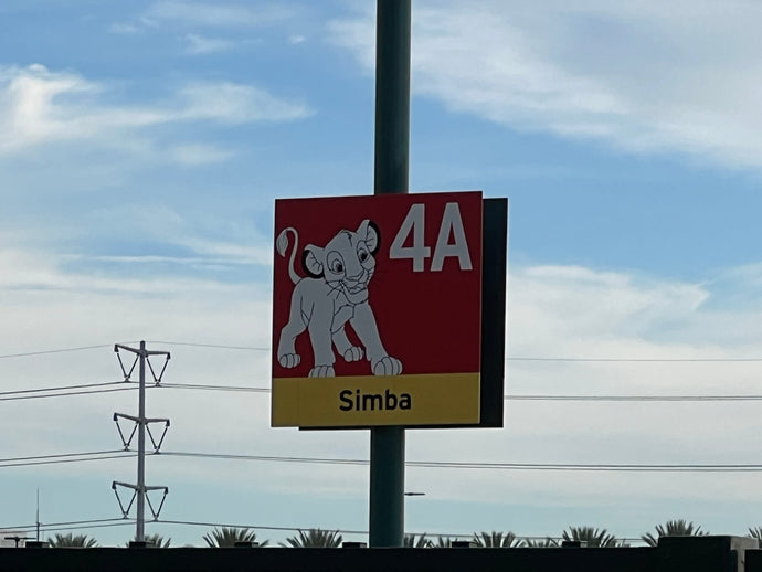 Simba Parking Lot Guide | Everything You Need To Know
