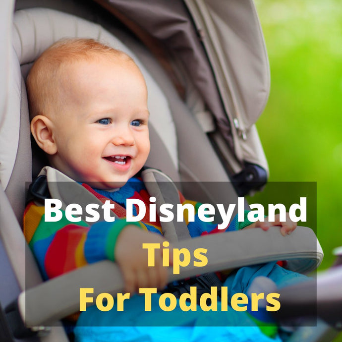 11 Best Disneyland Tips For Toddlers That You Must Know
