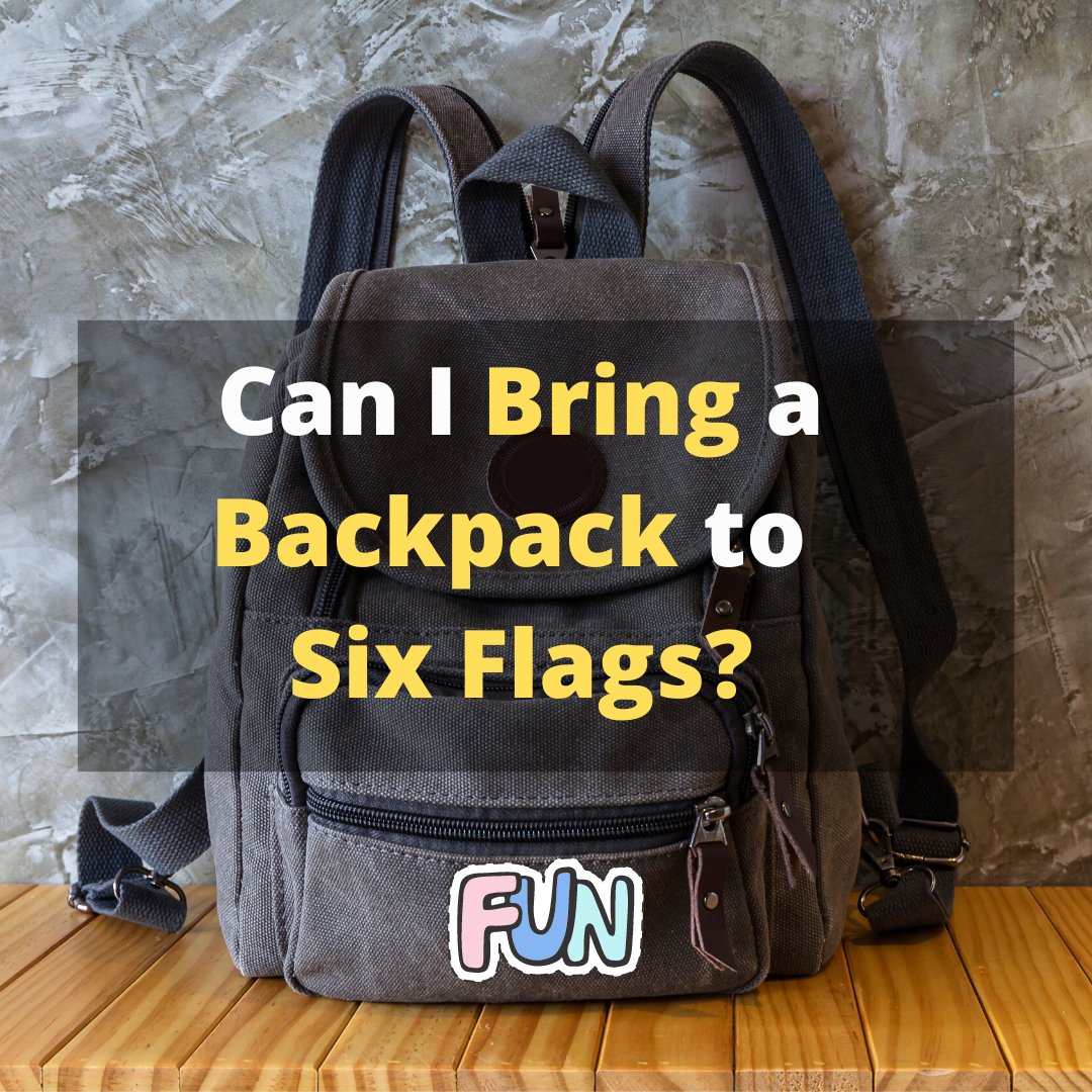 Six 2025 flags backpack