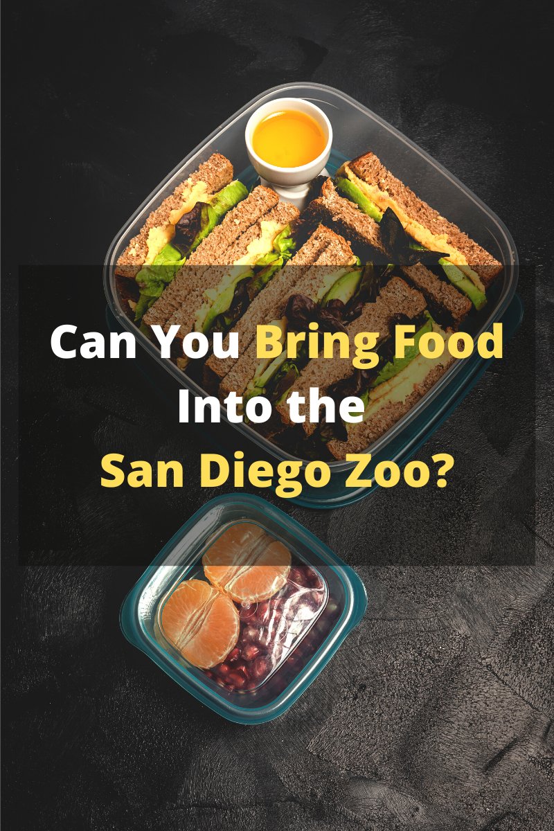 Can You Bring Food Into the San Diego Zoo? Easily Explained