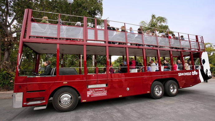 San Diego Zoo Bus Tour | The Ultimate Guide + Tour Video