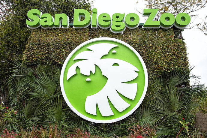 San Diego Zoo Stroller Rentals | Guide & Tips
