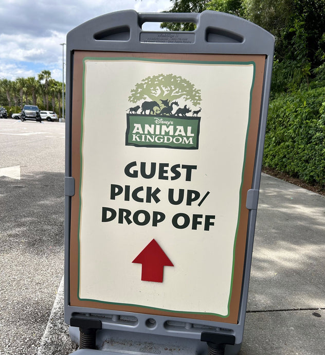 Guest Pick Up & Drop Off at Animal Kingdom: All You Need to Know