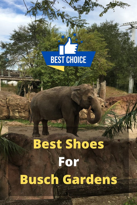 7 Best Shoes For Busch Gardens | Easily Explained