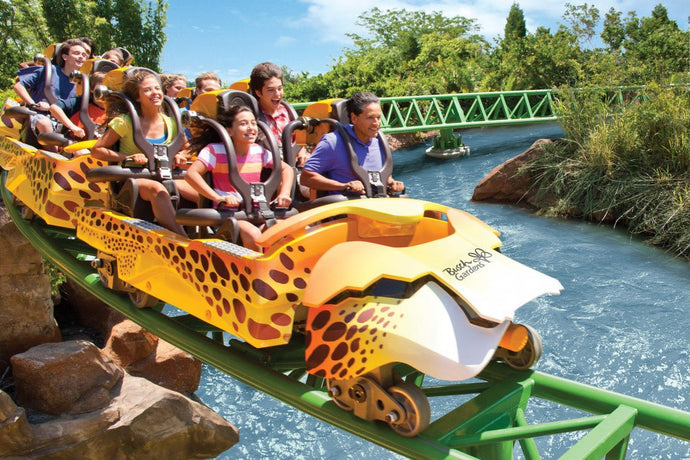 5 Rides With the Longest Lines at Busch Gardens Tampa