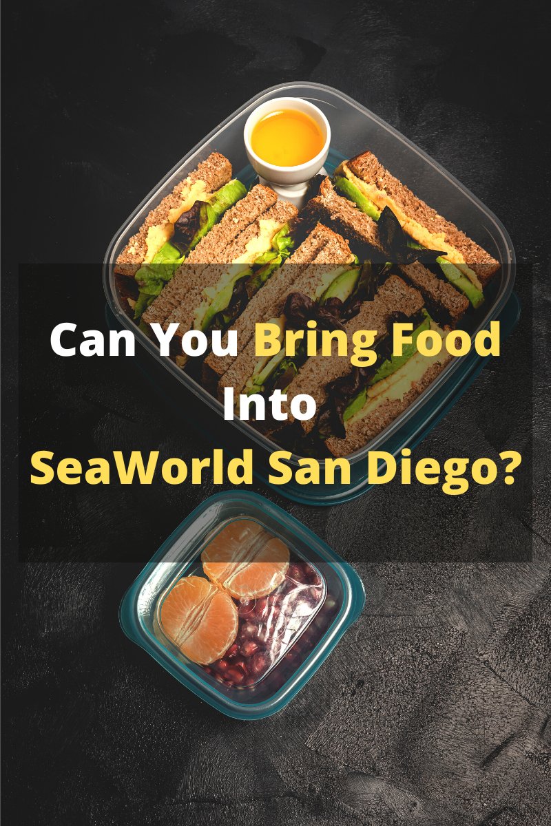 Can You Bring Food Into SeaWorld San Diego? Easily Explained