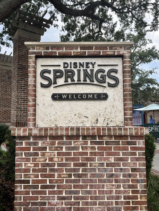 3 Easy Ways to Get From EPCOT to Disney Springs