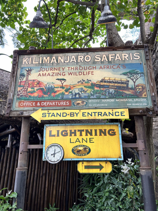 5 Rides With the Longest Lines at Animal Kingdom