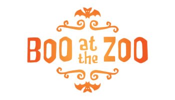What is Boo at the Zoo Nashville? | Guide & Tips