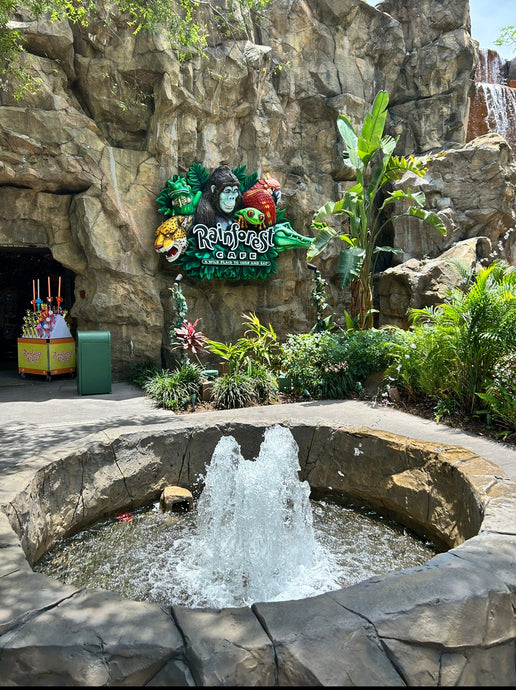Rainforest Cafe at Animal Kingdom: Everything You Need to Know