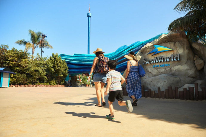 How Much Time Do You Need at SeaWorld San Diego? | Explained