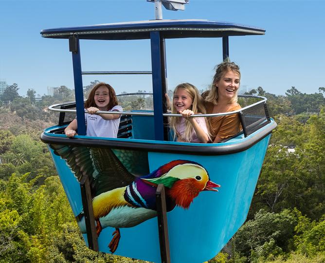 5 Best San Diego Zoo Rides | Easily Explained – ThemeParkCenter.com