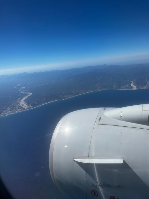 What Airport Do You Fly Into For Cabo San Lucas? | Explained