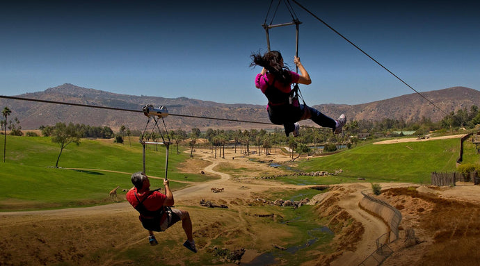 Ziplining at the San Diego Zoo: Everything You Need to Know